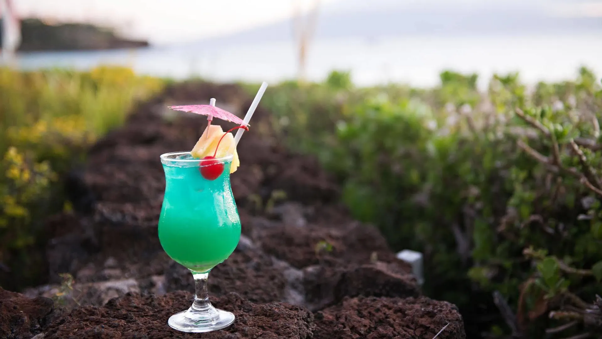 Kaanapali Ocean Inn United States